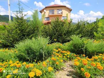 Фото Отель Bilovoddya Hotel г. Sil&#39; 4